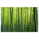 Vliesbehang Bamboo Forest vliespapier - groen - 384 x 255 cm