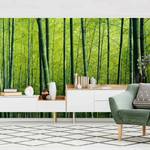 Papier peint intissé Forêt de bambous Papier peint - Vert - 384 x 255 cm