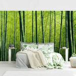 Vliesbehang Bamboo Forest vliespapier - groen - 384 x 255 cm