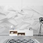 Vliesbehang Abstract 3D Optiek vliespapier - wit - 432 x 290 cm