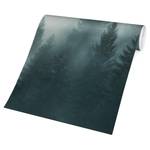 Vliesbehang Naaldbos in de Mist vliespapier - beige - 432 x 290 cm