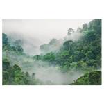 Vliesbehang Jungle in de Mist vliespapier - groen - 432 x 290 cm
