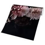 Vliestapete Blumen mit Nebel Vliespapier - Schwarz - 384 x 255 cm
