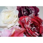 Fleurs artificielles Rose II (lot de 4) Polyester PVC - Multicolore