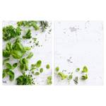 Protège-plaque de cuisson Herbes I Verre de sécurité - Vert - 80 x 52 cm