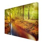 Leinwandbild Herbstwald I Orange - 60 x 40 x 2 cm - Breite: 60 cm