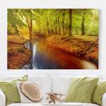 Leinwandbild Herbstwald I Orange - 60 x 40 x 2 cm - Breite: 60 cm