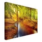 Leinwandbild Herbstwald I Orange - 120 x 80 x 2 cm - Breite: 120 cm