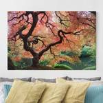 Afbeelding Japanse Tuin I rood - 120 x 80 x 2 cm - Breedte: 120 cm