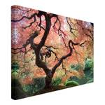 Canvas Giardino giapponese I Rosso - 120 x 80 x 2 cm - Larghezza: 120 cm