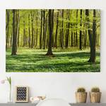 Impression sur toile Prairies I Vert - 120 x 80 x 2 cm - Largeur : 120 cm