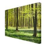 Canvas Selvaggio I Verde - 120 x 80 x 2 cm - Larghezza: 120 cm