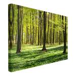 Impression sur toile Prairies I Vert - 90 x 60 x 2 cm - Largeur : 90 cm