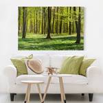 Impression sur toile Prairies I Vert - 90 x 60 x 2 cm - Largeur : 90 cm