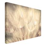 Canvas Dente di leone III Beige - 120 x 80 x 2 cm - Larghezza: 120 cm