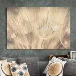 Impression sur toile Pissenlit III Beige - 120 x 80 x 2 cm - Largeur : 120 cm