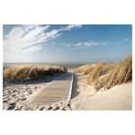 Leinwandbild Ostsee Strand III Beige - 120 x 80 x 2 cm - Breite: 120 cm