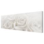 Impression sur toile Roses blanches I Beige - 120 x 40 x 2 cm - Largeur : 120 cm