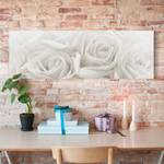 Impression sur toile Roses blanches I Beige - 120 x 40 x 2 cm - Largeur : 120 cm