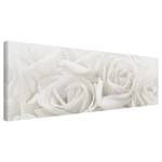 Leinwandbild Weiße Rosen I Beige - 150 x 50 x 2 cm - Breite: 150 cm