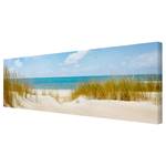 Leinwandbild Strand an der Nordsee I Beige - 150 x 50 x 2 cm - Breite: 150 cm