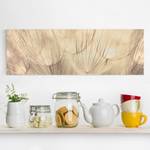 Leinwandbild Pusteblumen I Beige - 120 x 40 x 2 cm - Breite: 120 cm