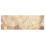 Leinwandbild Pusteblumen I Beige - 120 x 40 x 2 cm - Breite: 120 cm