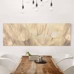 Leinwandbild Pusteblumen I Beige - 150 x 50 x 2 cm - Breite: 150 cm