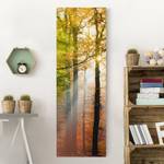 Canvas Morning Light I Arancione - 50 x 150 x 2 cm - Larghezza: 50 cm