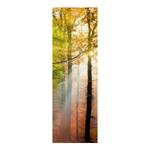 Leinwandbild Morning Light I Orange - 50 x 150 x 2 cm - Breite: 50 cm