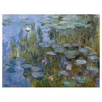 Afbeelding Waterlelies Nympheas I lila - 80 x 60 x 2 cm - Breedte: 80 cm