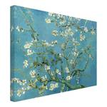 Leinwandbild Mandelblüte I Blau - 80 x 60 x 2 cm