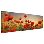 Leinwandbild Mohnblumenfeld I Rot - 150 x 50 x 2 cm - Breite: 150 cm