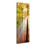 Leinwandbild Morning Light I Orange - 40 x 120 x 2 cm - Breite: 40 cm