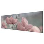 Leinwandbild Malerische Mohnblumen I Pink - 120 x 40 x 2 cm - Breite: 120 cm