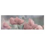 Leinwandbild Malerische Mohnblumen I Pink - 120 x 40 x 2 cm - Breite: 120 cm