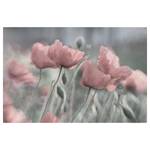 Impression sur toile Pavots peint III Rose - 120 x 80 x 2 cm - Largeur : 120 cm