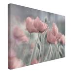 Impression sur toile Pavots peint III Rose - 120 x 80 x 2 cm - Largeur : 120 cm