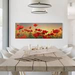 Leinwandbild Mohnblumenfeld I Rot - 120 x 40 x 2 cm - Breite: 120 cm