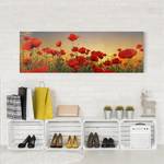 Leinwandbild Mohnblumenfeld I Rot - 120 x 40 x 2 cm - Breite: 120 cm