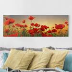 Impression sur toile Coquelicots I Rouge - 120 x 40 x 2 cm - Largeur : 120 cm