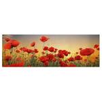 Leinwandbild Mohnblumenfeld I Rot - 120 x 40 x 2 cm - Breite: 120 cm