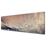 Impression sur toile Waterdrop I Beige - 150 x 50 x 2 cm - Largeur : 150 cm