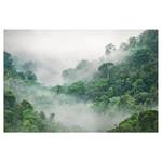 Impression sur toile Jungle I Vert - 60 x 40 x 2 cm - Largeur : 60 cm