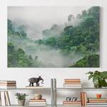 Impression sur toile Jungle I Vert - 120 x 80 x 2 cm - Largeur : 120 cm