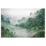 Impression sur toile Jungle I Vert - 120 x 80 x 2 cm - Largeur : 120 cm