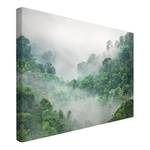 Afbeelding Jungle in Mist I groen - 120 x 80 x 2 cm - Breedte: 120 cm