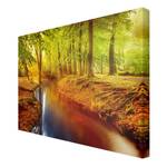 Leinwandbild Herbstwald II Orange - 90 x 60 x 2 cm - Breite: 90 cm