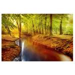 Impression sur toile Automne II Orange - 90 x 60 x 2 cm - Largeur : 90 cm