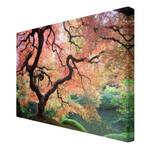 Afbeelding Japanse Tuin II rood - 120 x 80 x 2 cm - Breedte: 120 cm